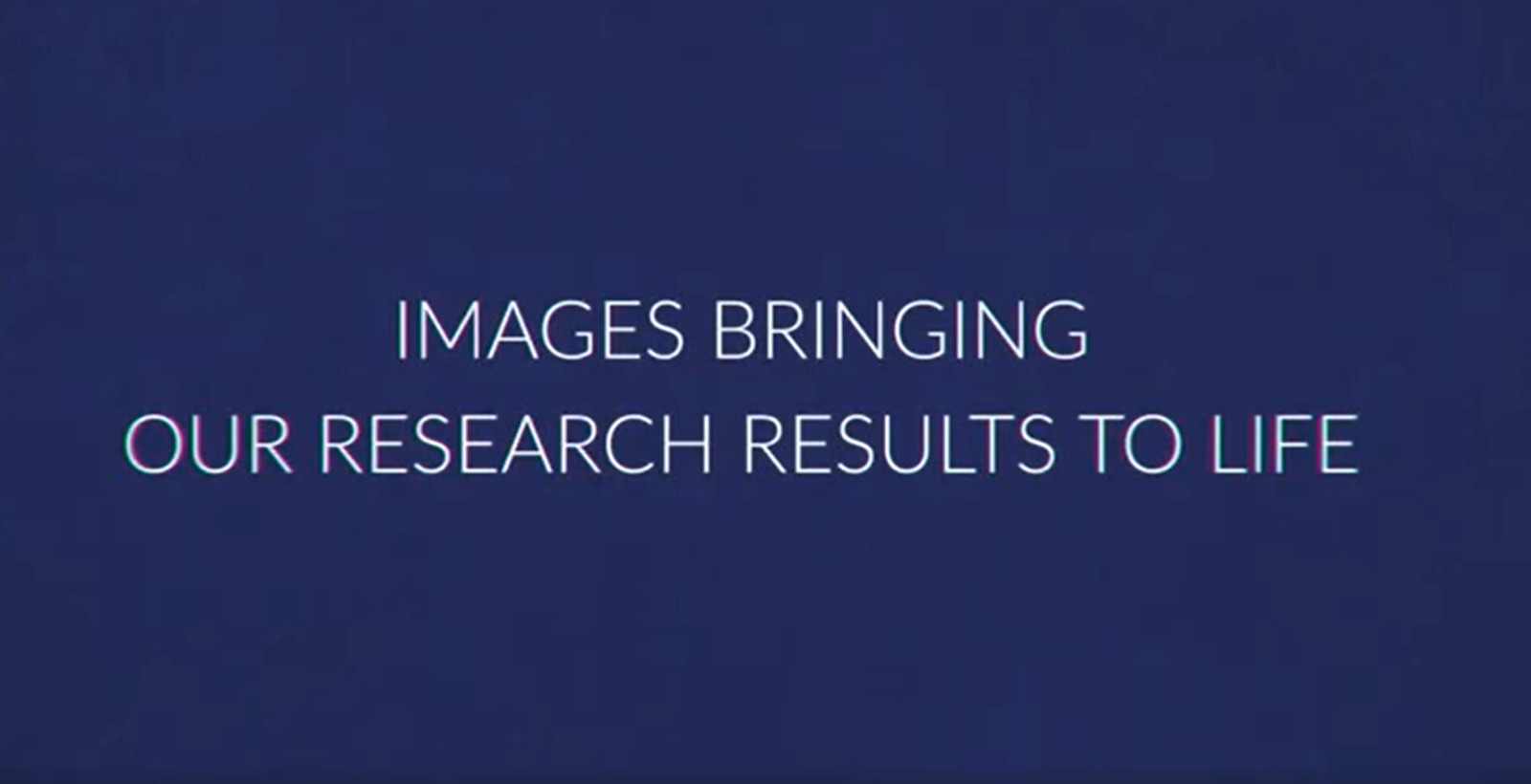 Buone Feste da Fondazione ANTHEM